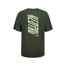 RiomolinoM. | Alpine Woods