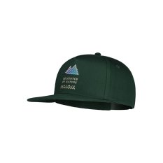 SpitzbergM. | Mountain Pine