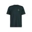 KasteinM. | Mountain Pine
