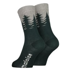 LabanM. | Mountain Pine