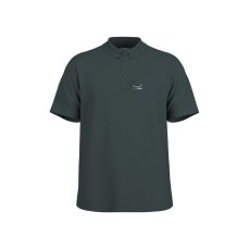 BirkkogelM. | Mountain Pine
