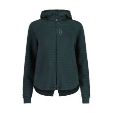 RundfjelletM. | Mountain Pine