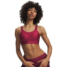 Infinity 2.0 High Sports Bra | Claret/Claret