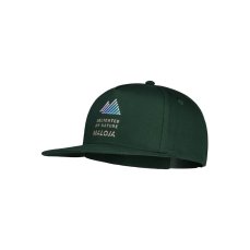SpitzbergM. | Mountain Pine