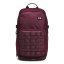 Triumph Sport Backpack | Dark Maroon/Halo Gray