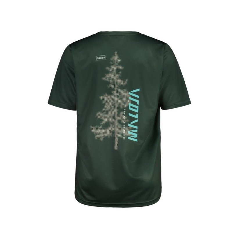 PedroniM. | Mountain Pine